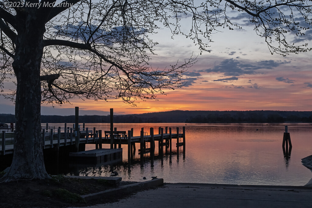 A New Day by mccarth1