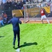 The female goaly stopped the king's ball!