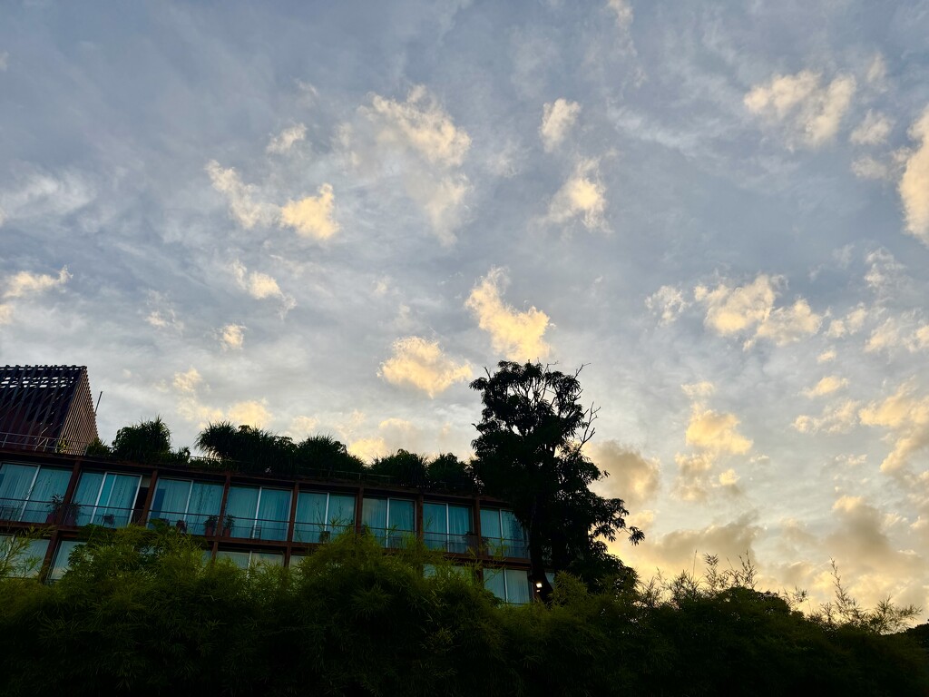 Evening sky.  by cocobella