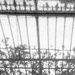 Shadows of You