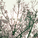 Beautiful Signs of Life