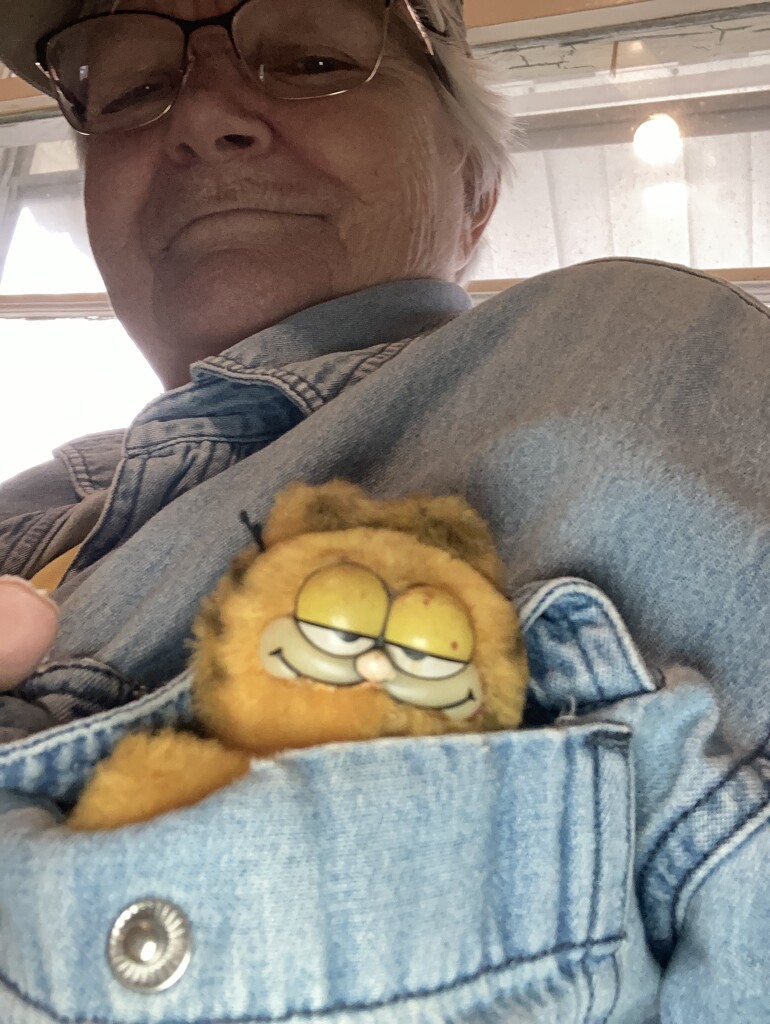 Garfield the Stowaway (Single Subject #26) by spanishliz