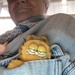 Garfield the Stowaway (Single Subject #26)