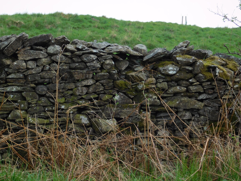 a wall by anniesue