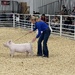 Girl with her hog by essiesue