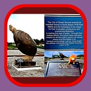 26th Apr 2025 - Veterans Memorial Park