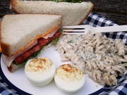 23rd Apr 2025 - Picnic Supper