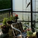 Trellis