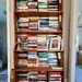 Paperback books 
