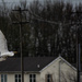 Egret