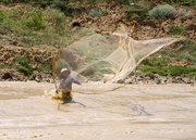 25th Apr 2025 - A Tonle Sap fisherman in action P4253588