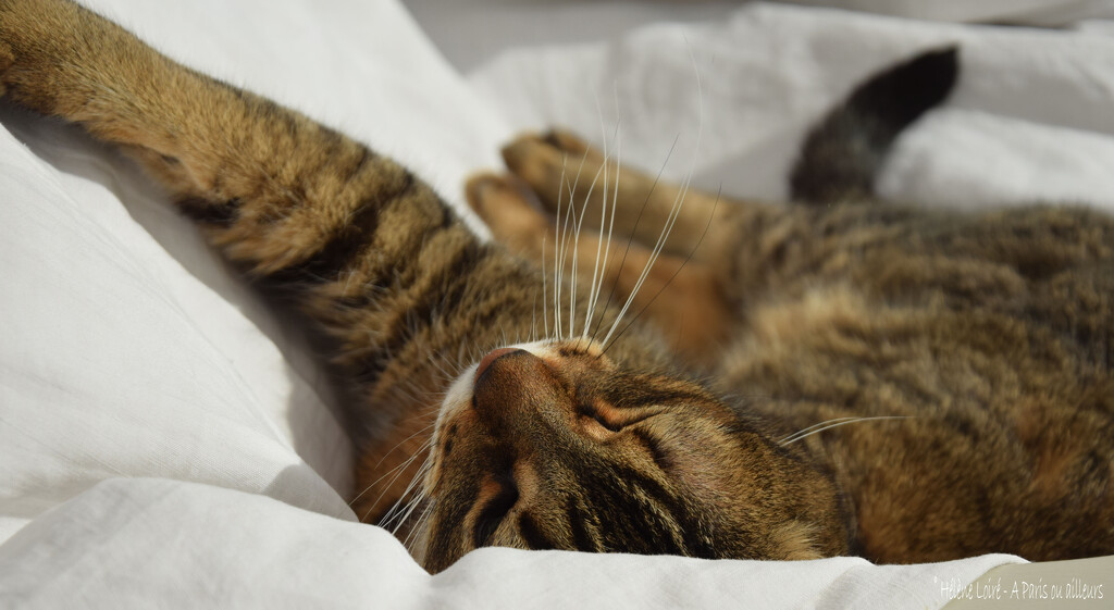 nap by parisouailleurs