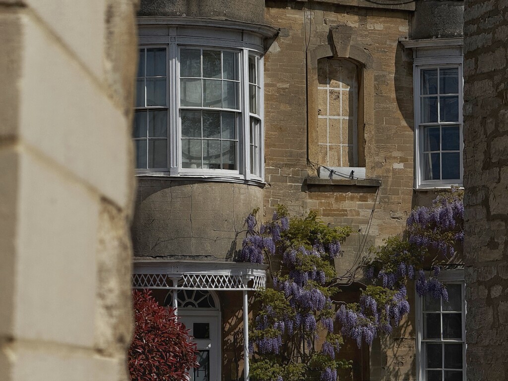 Walls, Wisteria and Woodstock  by gaillambert