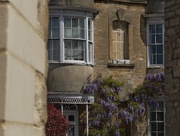 27th Apr 2025 - Walls, Wisteria and Woodstock 