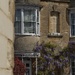 Walls, Wisteria and Woodstock 