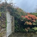 Courtyard Garden