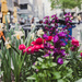 City Colors