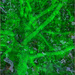 Green, Green, aaaand Green