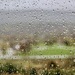Rainy Day Inspiration by corinnec