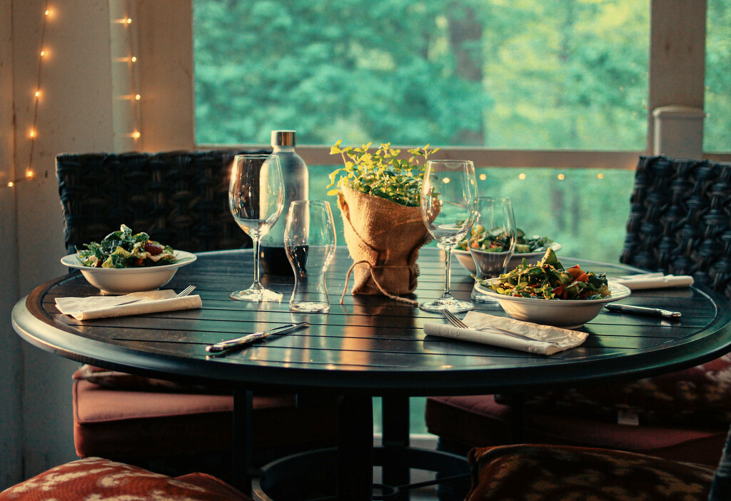 Dinner on the screened porch by librarymom