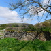the garden had nice views