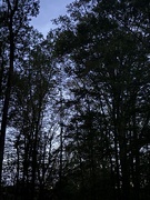 22nd Apr 2025 - IMG_6215
