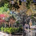 Water fountain  by zilli