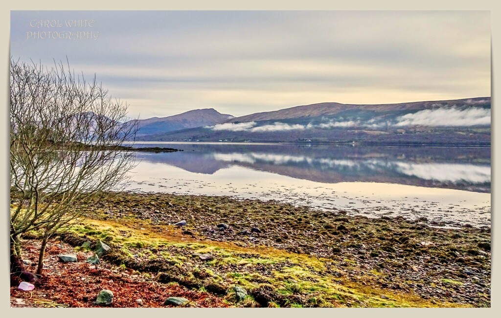 Low Clouds Over Loch Fyne by carolmw