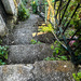 .. trekking through hill towns in the CinqueTerre