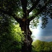 Kenwood by rensala