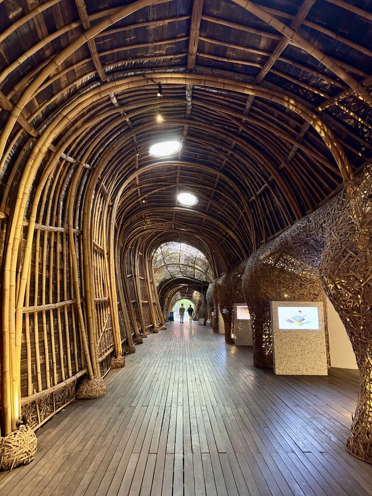 Passage.  by cocobella