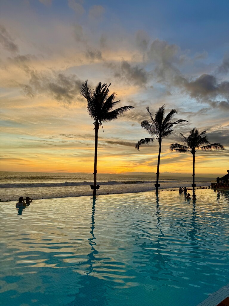 Palm trees and sunset.  by cocobella