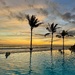 Palm trees and sunset. 