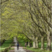 Passing By by phil_howcroft