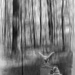 Motion blur on Wu Yong and Haddarat... by marlboromaam