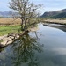 River Derwent 