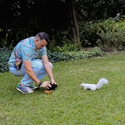 27th Apr 2025 - Yup, an albino squirrel…