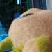 IMG_20250429_210551