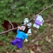 Just hanging out