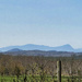 Country road and mountain  views