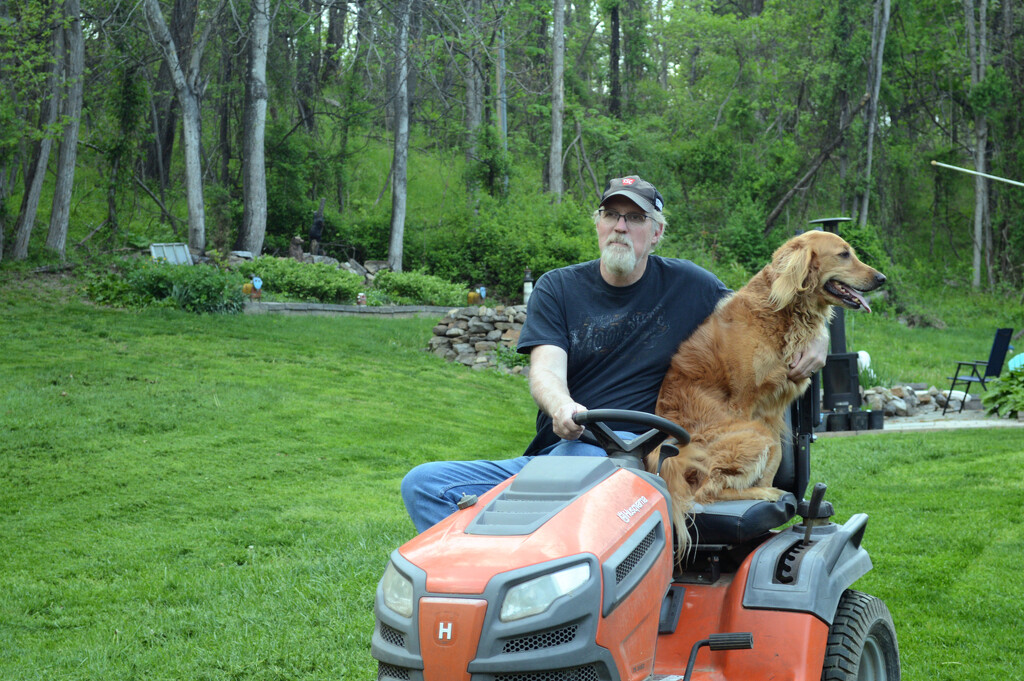 Man, dog and beast by francoise