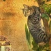 Tree Surveillance 