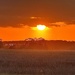 Marsh sunset 2