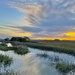 Marsh sunset