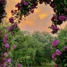 Enchanted Garden
