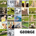 Extras - Month of George 