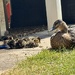 Motherhood