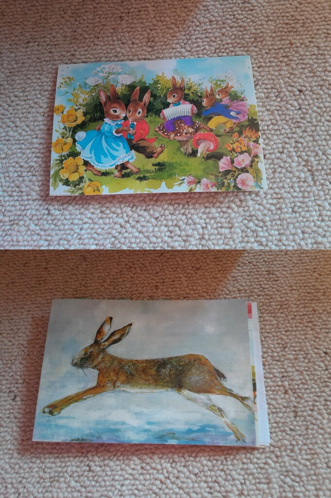 rabbit cards received the same year by anniesue