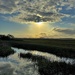 Marsh sunset by congaree