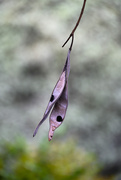 1st May 2025 - 200mm